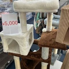 【特価5,000円】コンパクトでも充実！三毛猫カラーのキャットタワー♪