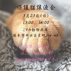 🌸ほごにゃんCOCORO譲渡会🌸