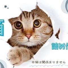 軽作業／プラスチック製品／梱包　寮完備／平日休みあり