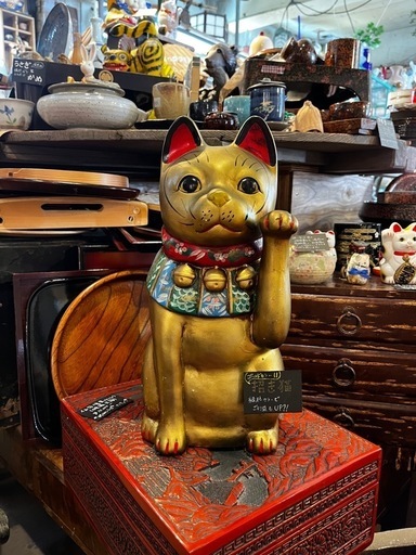 69 　金色　招き猫　札幌市西区　山の手　モノココ
