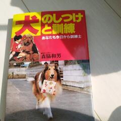 犬のしつけ