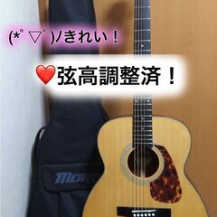 ❤️弦高調整済！「MORRIS モーリス F-351i / NA...