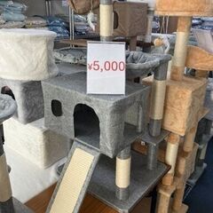【特価5,000円】遊びもくつろぎもこれ1台！高さ104cmキャ...
