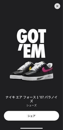 NIKEエアフォース1 パラノイズ