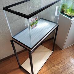超美品！！水槽と水槽台セットの画像