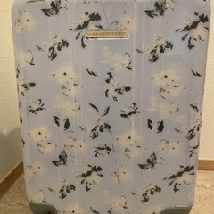 MERCURYDUO スーツケース 機内持ち込みサイズ