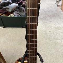 Aria Elecord CES-50 エレガット　ハードケース付きの画像