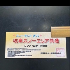 岐阜スノーエリア共通券
