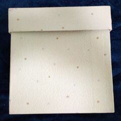 布製ポーチ 箱付き新品未使用の画像
