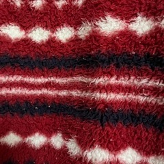 ロキシーROXYフリースの画像