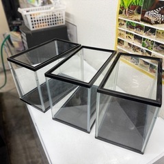 小型水槽900円