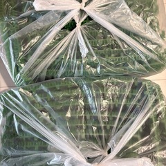人工芝ジョイントマット 30cm 30枚譲ります。の画像