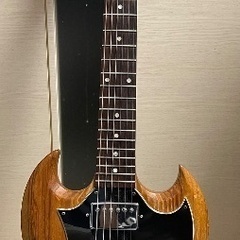 Gibson SG Special  LTD Swamp Ash...