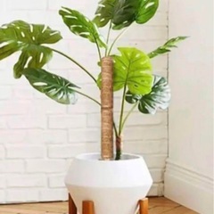 野菜や園芸用支柱　植物用　2本セット　
