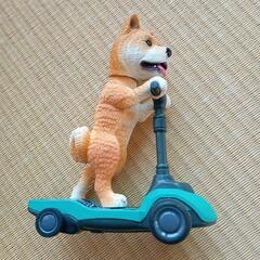 アニマル　プルバック　キックボード　柴犬