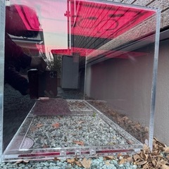 水槽　アクリル水槽　アクア の画像