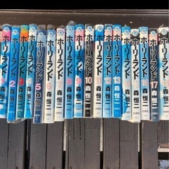 ホーリーランド全巻