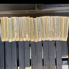 ホーリーランド全巻の画像