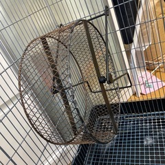 小動物用ゲージ の画像