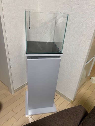 ADA 水槽キューブガーデン30センチキューブ (キウイ) 札幌のその他の