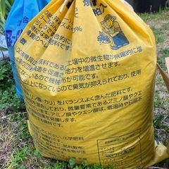 ニラ　株分の画像