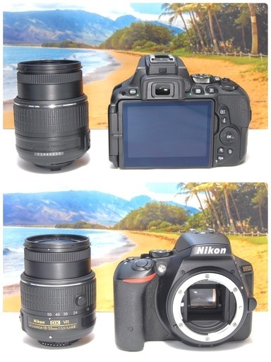 WiFi転送機能搭載 届いてすぐに使える 人気商品 Nikon D5500 美品