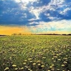 経験豊富な皆さんのお力ください。助けてくださいm(_ _)m