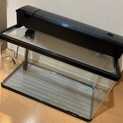 【受渡確定
】KOTOBUKI 60cm水槽セット 