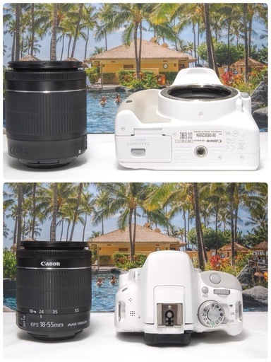 希少カラー 人気カラー 届いてすぐに使える Canon kissX7 単焦点付き