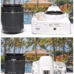 希少カラー 人気カラー 届いてすぐに使える Canon kissX7 単焦点付きの画像