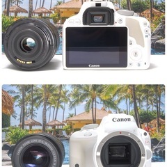 希少カラー 人気カラー 届いてすぐに使える Canon kissX7 単焦点付きの画像
