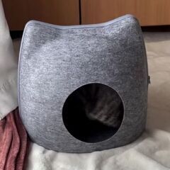 ねこ用ドーム型ハウス(最終値下げ)