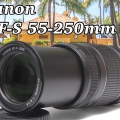 卒業シーズンにぴったり　人気 望遠　Canon EF-S 55-...