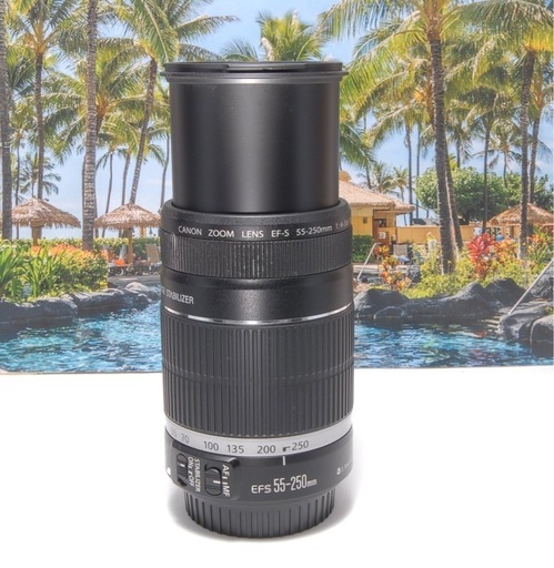 卒業シーズンにぴったり　人気 望遠　Canon EF-S 55-250mm IS