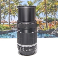 卒業シーズンにぴったり　人気 望遠　Canon EF-S 55-250mm ISの画像