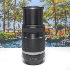 卒業シーズンにぴったり　人気 望遠　Canon EF-S 55-250mm ISの画像