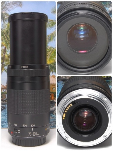 超望遠レンズ 人気商品 美品 純正レンズ Canon EF 75-300mm Ⅱ