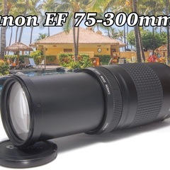 超望遠レンズ 人気商品 美品 純正レンズ Canon EF 75...