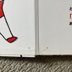 どんないろがすき絵本の画像