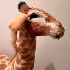 キリン インテリア オシャレ の画像