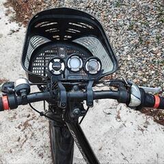 ブリヂストン BRIDGESTONE 子供用自転車 ジュニアサイクル 20インチの画像