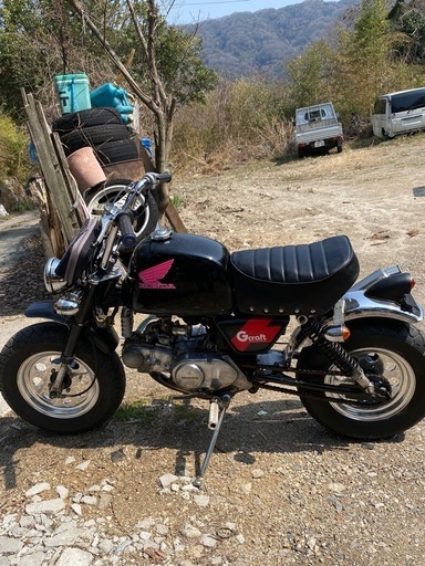 ゴリラ　フルカスタム　12v