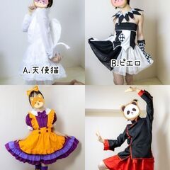 【4/7に捨てます】【残りA,D】レディースコスプレ衣装 各1000円