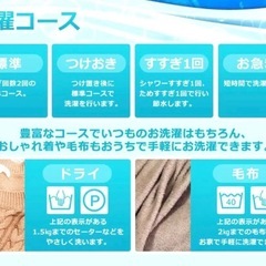 🌈IRIS OHYAMA 全自動洗濯機☆美品の画像