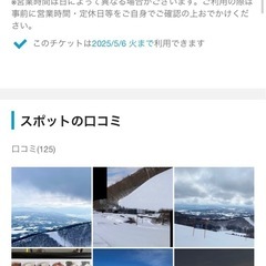 【実質入札額から500円引き】星野リゾート　ネコママウンテン　リフト券　1日の画像