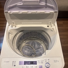 SHARP洗濯機5.5Kgの画像