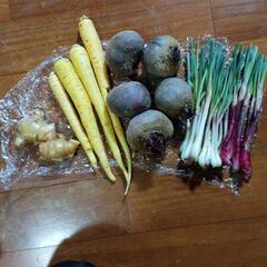 野菜セット