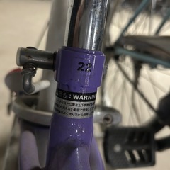 子供用自転車　22インチ　
ガールズラボの画像