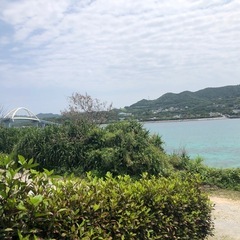 草苅代行