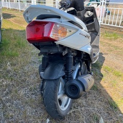 シグナス　低走行　2型　国内の画像